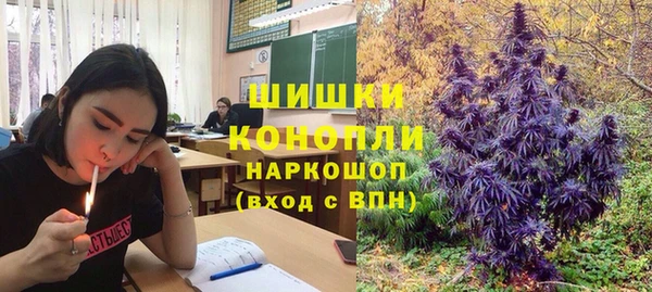 ПСИЛОЦИБИНОВЫЕ ГРИБЫ Алексин