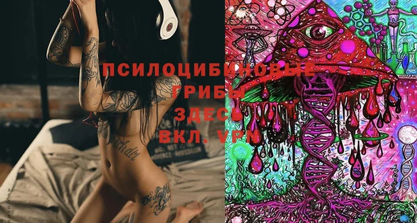 марихуана Абаза