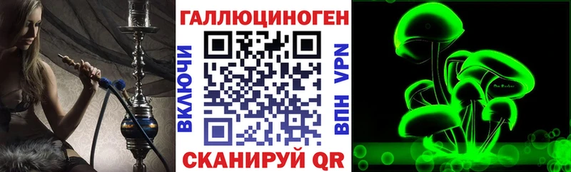 Галлюциногенные грибы Psilocybine cubensis  Северская 